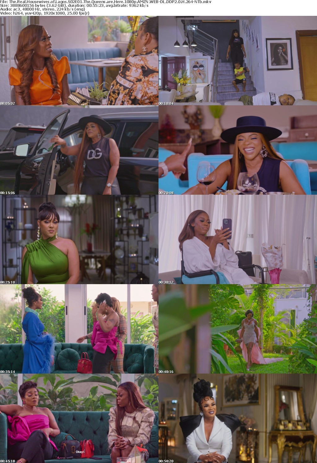 The Real Housewives of Lagos S02E01 The Queens are Here 1080p AMZN WEB-DL DDP2 0 H 264-NTb