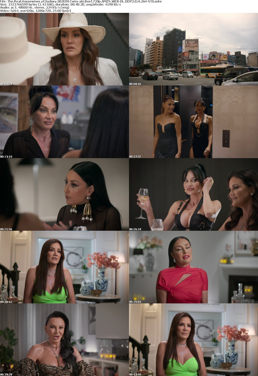 The Real Housewives of Sydney S02E09 Terry-aki Beef 720p AMZN WEB-DL DDP2 0 H 264-NTb