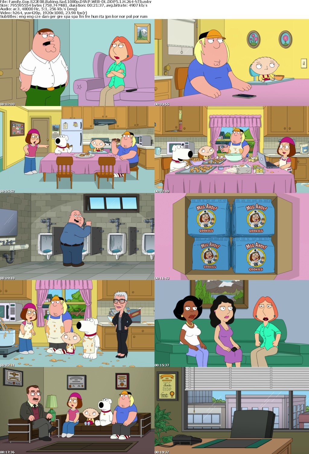 Family Guy S22E08 Baking Sad 1080p DSNP WEB-DL DDP5 1 H 264-NTb