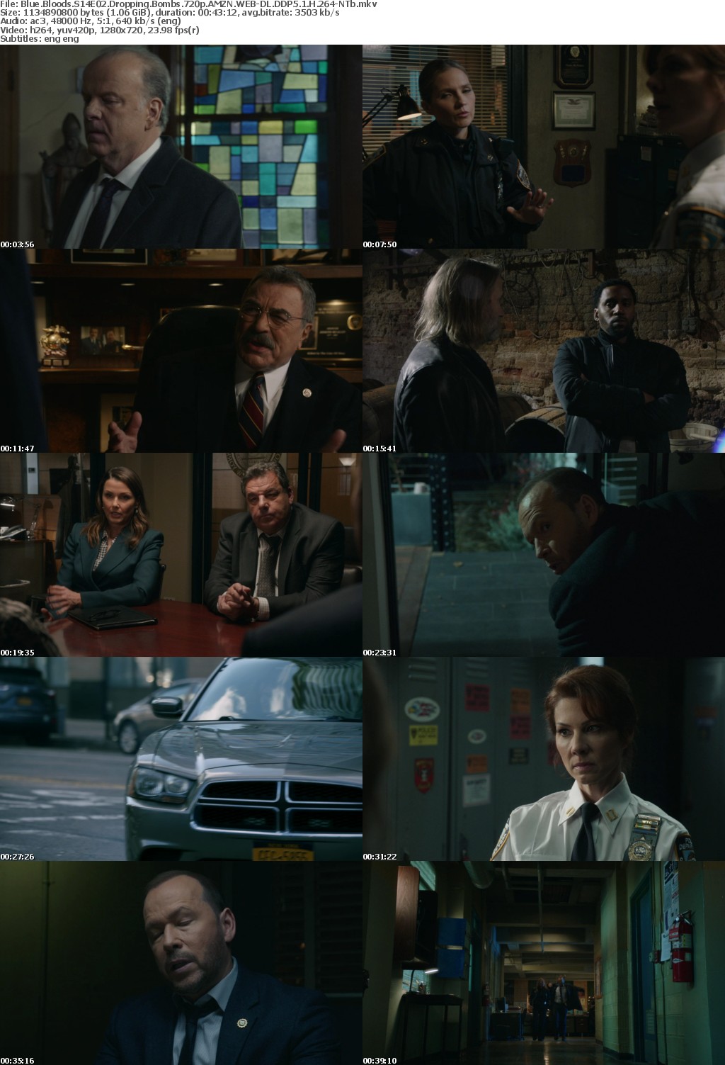 Blue Bloods S14E02 Dropping Bombs 720p AMZN WEB-DL DDP5 1 H 264-NTb