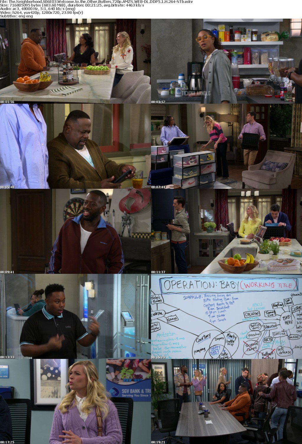 The Neighborhood S06E03 Welcome to the Other Butlers 720p AMZN WEB-DL DDP5 1 H 264-NTb
