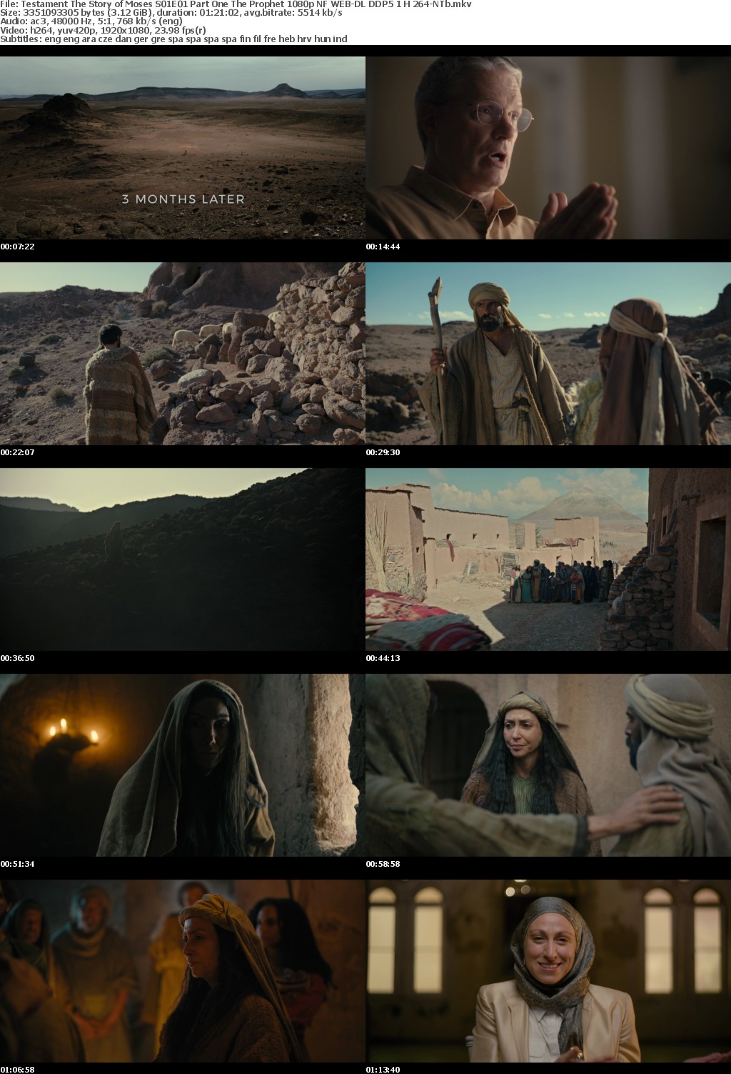 Testament The Story of Moses S01E01 Part One The Prophet 1080p NF WEB-DL DDP5 1 H 264-NTb
