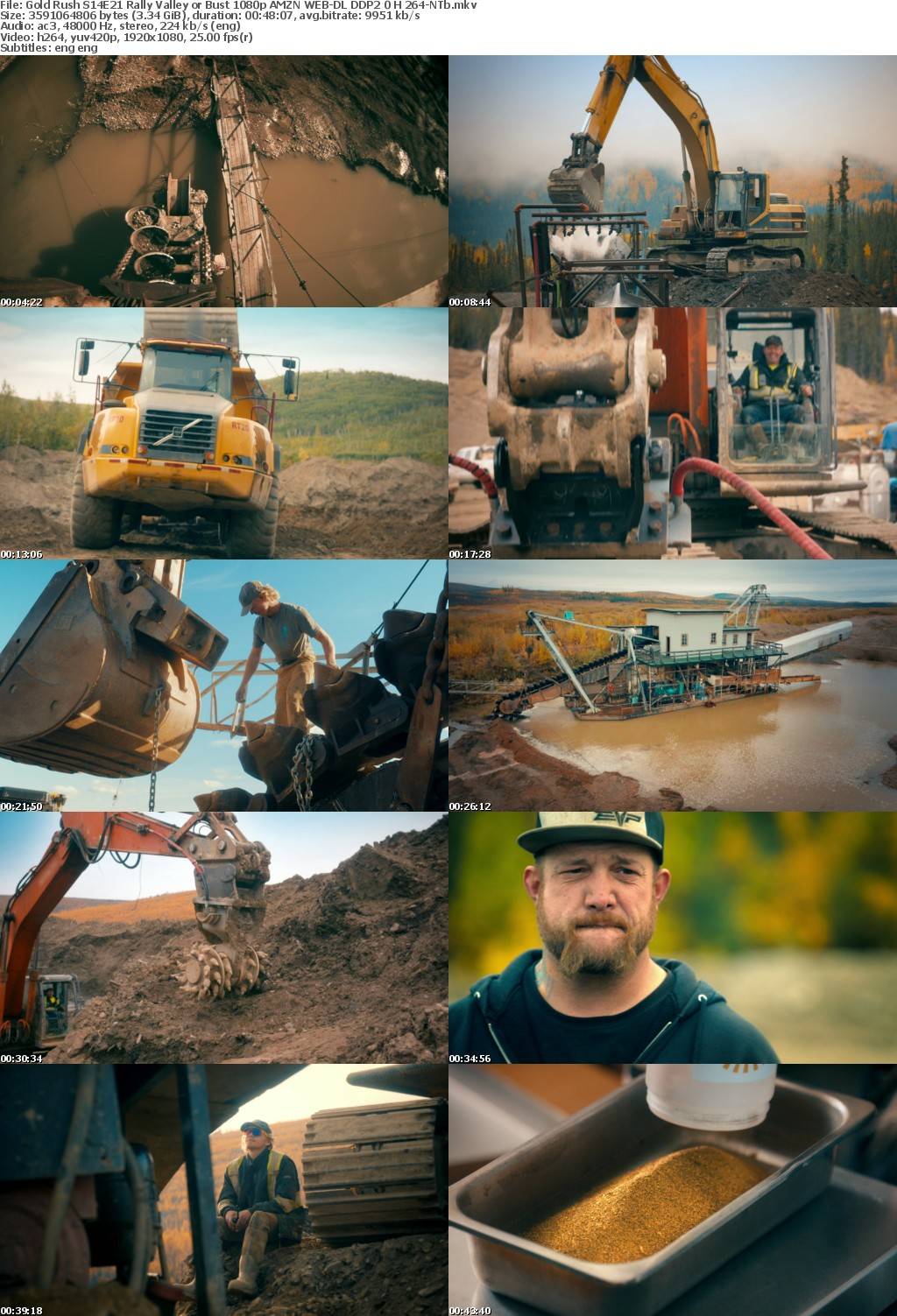 Gold Rush S14E21 Rally Valley or Bust 1080p AMZN WEB-DL DDP2 0 H 264-NTb