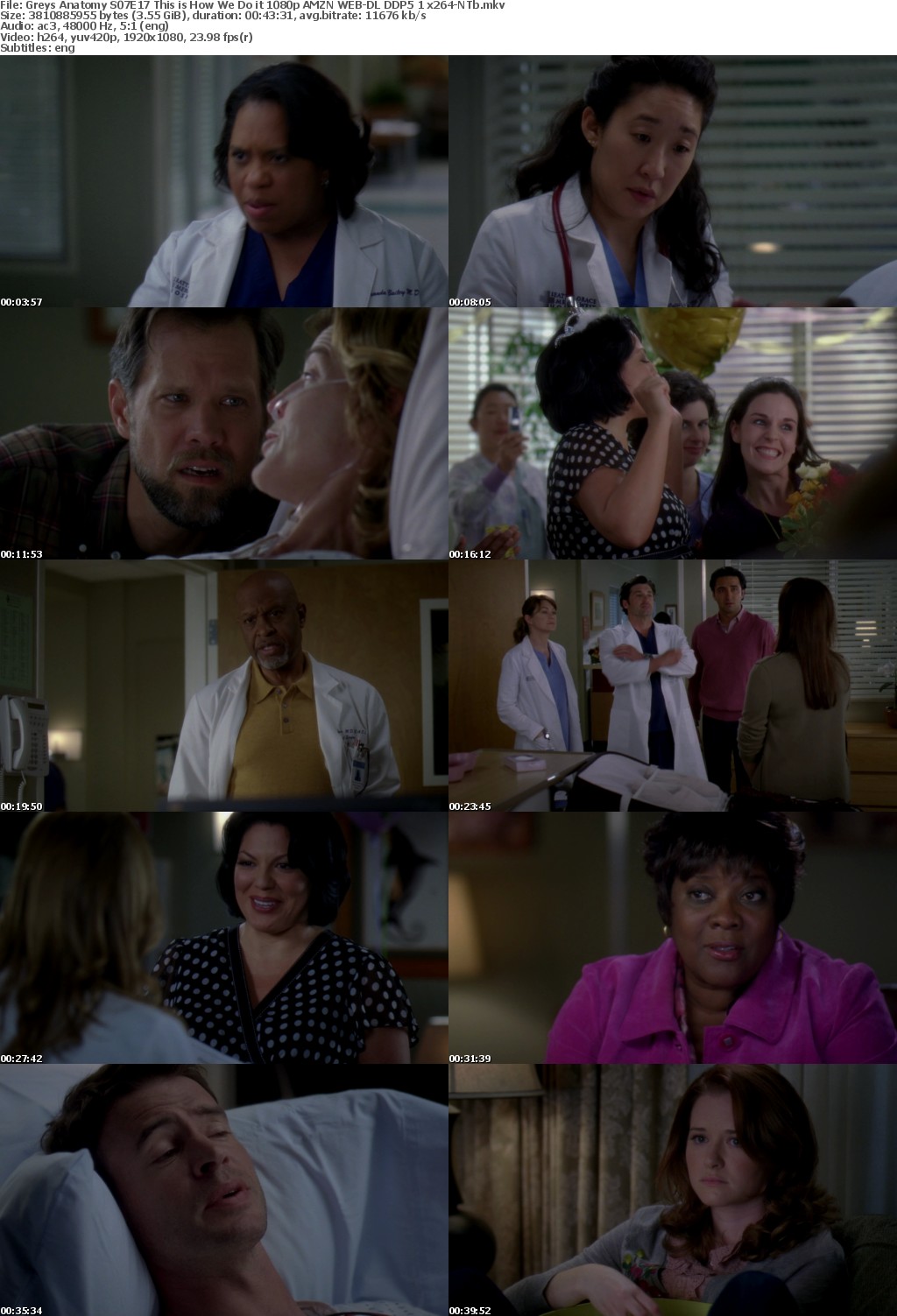 Greys Anatomy S07E17 This is How We Do it 1080p AMZN WEB-DL DDP5 1 x264-NTb
