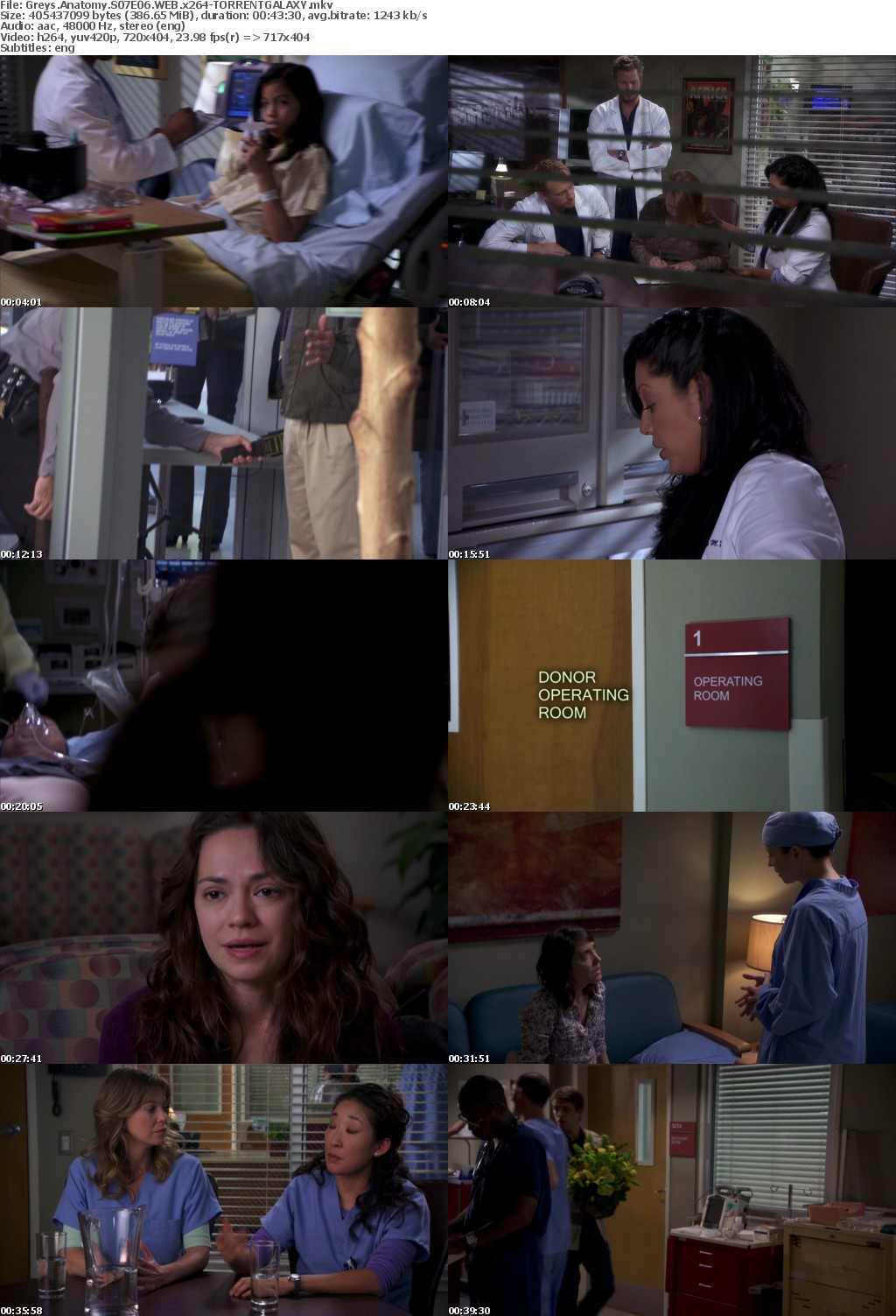 Greys Anatomy S07E06 WEB x264-GALAXY