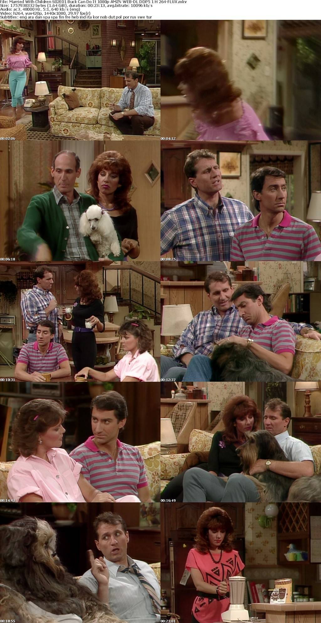 Married With Children S02E01 Buck Can Do It 1080p AMZN WEB-DL DDP5 1 H 264-FLUX