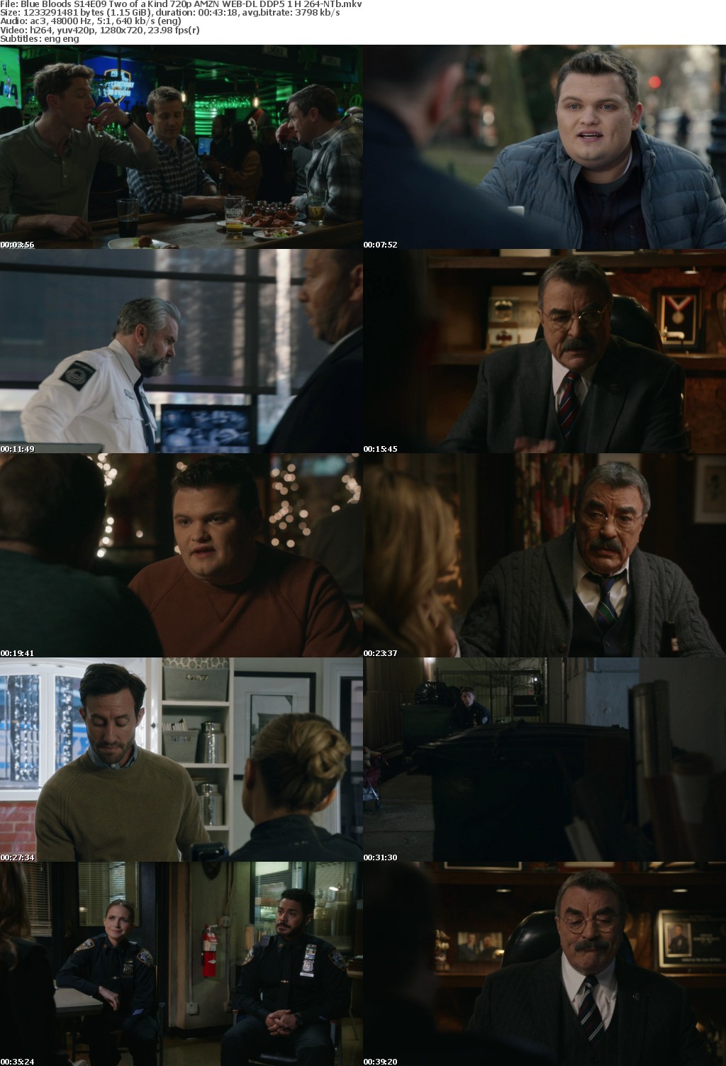 Blue Bloods S14E09 Two of a Kind 720p AMZN WEB-DL DDP5 1 H 264-NTb