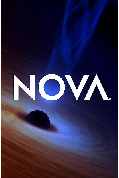 NOVA S51E07 Secrets in Your Data 480p x264-RUBiK Saturn5
