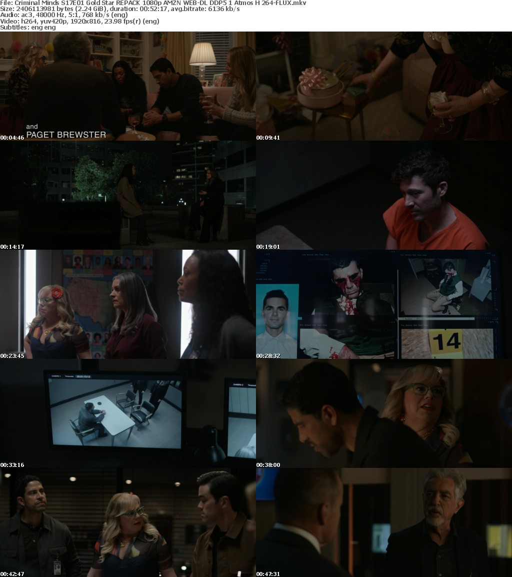 Criminal Minds S17E01 Gold Star REPACK 1080p AMZN WEB-DL DDP5 1 Atmos H 264-FLUX