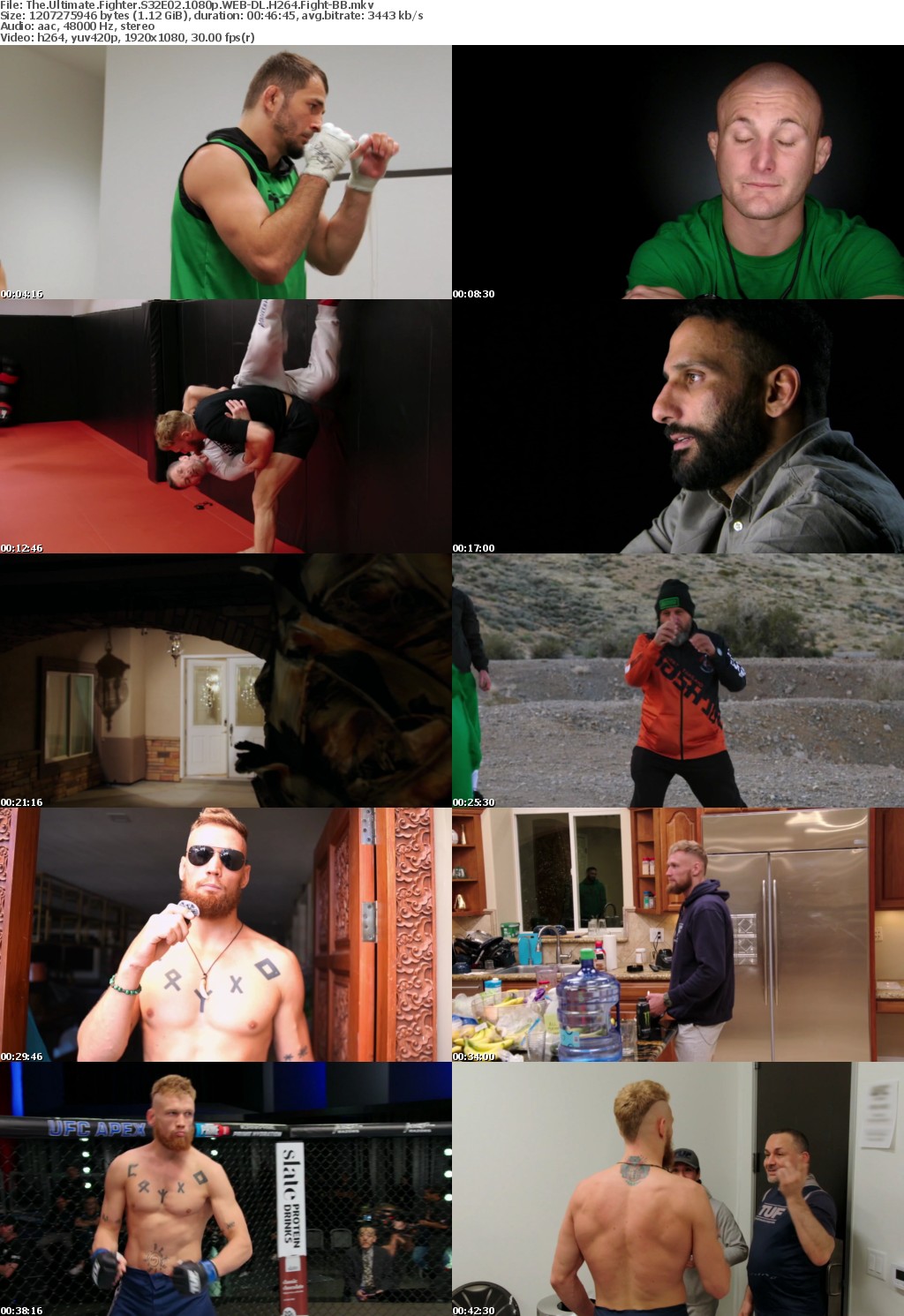 The Ultimate Fighter S32E02 1080p WEB-DL H264 Fight-BB